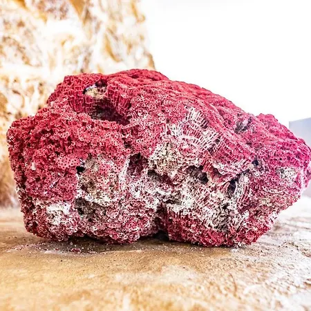 Stracca - Salento Reservation Villa Alliste